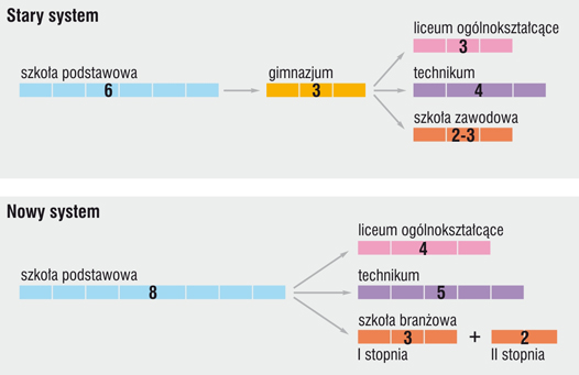 struktura szkół w Polsce